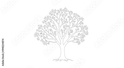 Continuous Line Art Drawing of a Mature Tree with Rounded Foliage and Exposed Roots on an Isolated White Background, Minimalist Established Tree