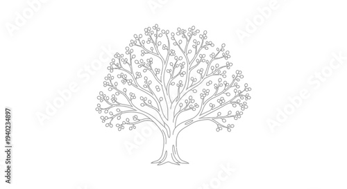 Continuous Line Art Drawing of a Dense, Round-Crowned Tree on an Isolated White Background, Minimalist Mature Tree Illustration
