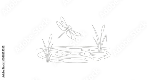 Dragonfly flying lightly over water ripples with sparse pond plants, nature sketch illustration on isolated white background