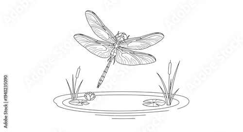 Dragonfly hovering over a pond with lily pads and cattails, nature sketch illustration on isolated white background