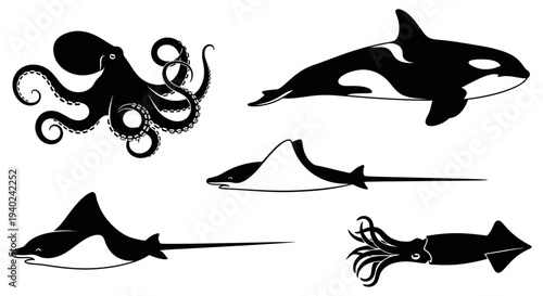 Ocean Wildlife Silhouette Collection: Orca, Octopus, Squid, and Ray Vector Set