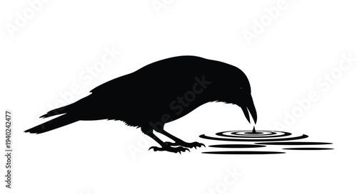 A black bird drinks from water creating ripples a striking silhouette
