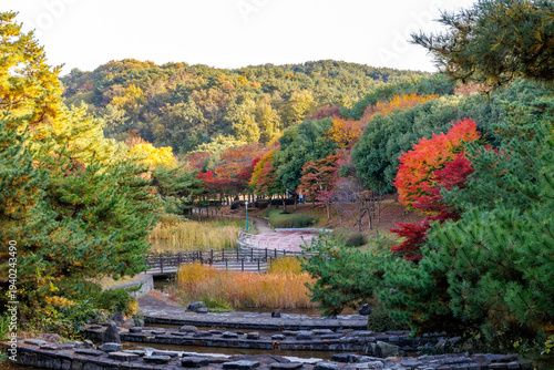 Scenic autumn landscape of Ulsan Grand Park in South Korea with colorful foliage and a walking path