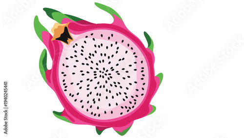 Detailed illustration of half a dragon fruit showcasing its vibrant pink outer skin and white flesh filled with small black seeds.
