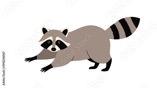 Detailed illustration of a cute raccoon stretching its front legs on a white background showing its bushy tail.