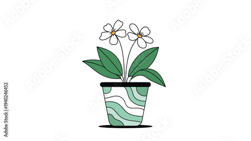 Small potted plant with delicate white flowers growing in a decorative ceramic pot with green wavy patterns.