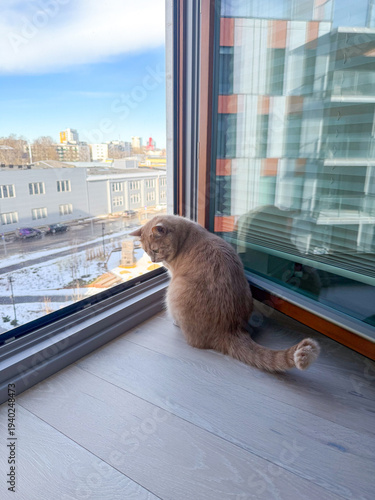 A cat rests on the floor by a large window. It gazes outside at the city landscape. Snow covers some areas while buildings stand in the background. The scene shows daytime activity