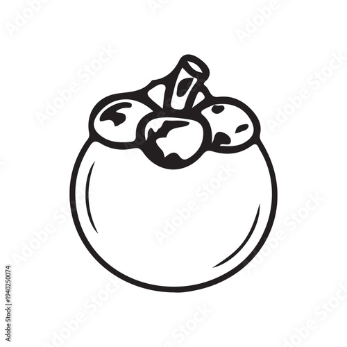 Palmyra fruit in Ice apple vector
