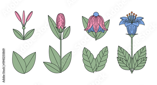 A collection of various flower illustrations in a colorful outline vector style, suitable for botanical designs or decorative projects