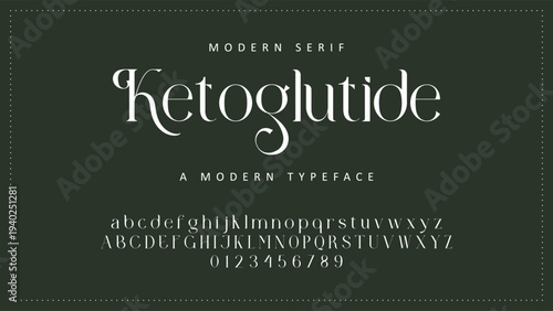 Elegant Font Uppercase Lowercase and Number. Classic Lettering Minimal Fashion Designs. Typography modern serif fonts regular decorative vintage concept. vector illustration