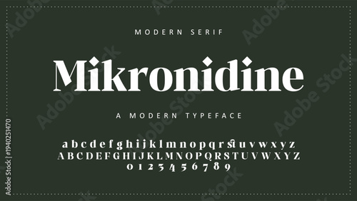 Elegant Font Uppercase Lowercase and Number. Classic Lettering Minimal Fashion Designs. Typography modern serif fonts regular decorative vintage concept. vector illustration