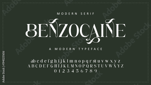 Elegant Font Uppercase Lowercase and Number. Classic Lettering Minimal Fashion Designs. Typography modern serif fonts regular decorative vintage concept. vector illustration