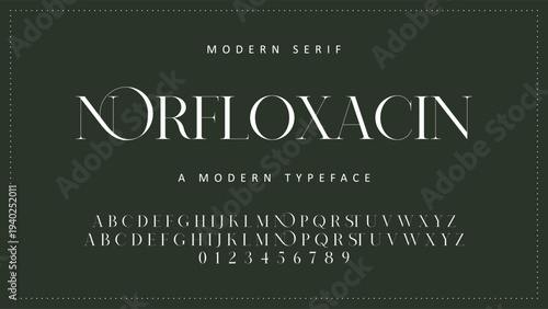 Elegant Font Uppercase Lowercase and Number. Classic Lettering Minimal Fashion Designs. Typography modern serif fonts regular decorative vintage concept. vector illustration