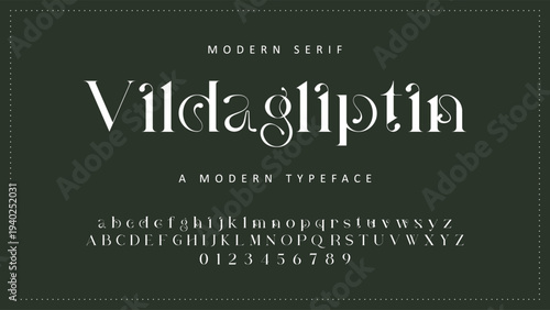Elegant Font Uppercase Lowercase and Number. Classic Lettering Minimal Fashion Designs. Typography modern serif fonts regular decorative vintage concept. vector illustration