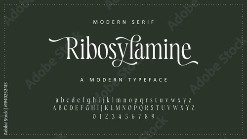 Elegant Font Uppercase Lowercase and Number. Classic Lettering Minimal Fashion Designs. Typography modern serif fonts regular decorative vintage concept. vector illustration