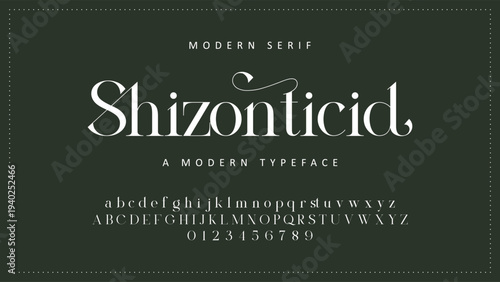 Elegant Font Uppercase Lowercase and Number. Classic Lettering Minimal Fashion Designs. Typography modern serif fonts regular decorative vintage concept. vector illustration