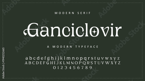 Elegant Font Uppercase Lowercase and Number. Classic Lettering Minimal Fashion Designs. Typography modern serif fonts regular decorative vintage concept. vector illustration