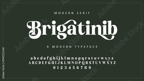 Elegant Font Uppercase Lowercase and Number. Classic Lettering Minimal Fashion Designs. Typography modern serif fonts regular decorative vintage concept. vector illustration