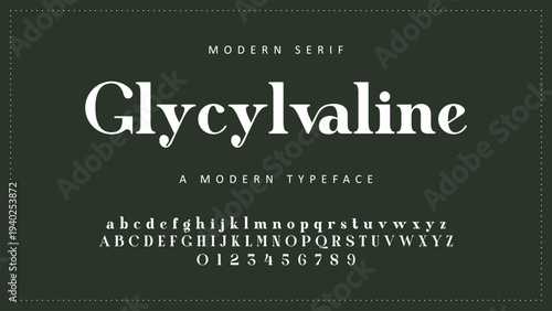 Elegant Font Uppercase Lowercase and Number. Classic Lettering Minimal Fashion Designs. Typography modern serif fonts regular decorative vintage concept. vector illustration