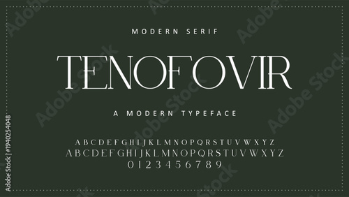 Elegant Font Uppercase Lowercase and Number. Classic Lettering Minimal Fashion Designs. Typography modern serif fonts regular decorative vintage concept. vector illustration