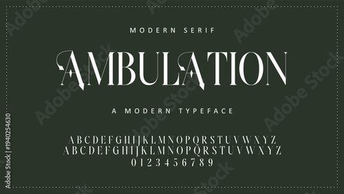 Elegant Font Uppercase Lowercase and Number. Classic Lettering Minimal Fashion Designs. Typography modern serif fonts regular decorative vintage concept. vector illustration