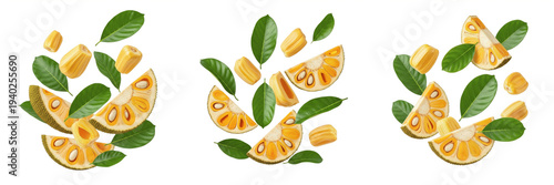 Tableau sur toile Title: Floating fresh jackfruit pieces and leaves isolated on white background