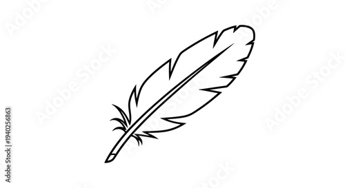 Simple black and white line drawing of a feather on a white background.