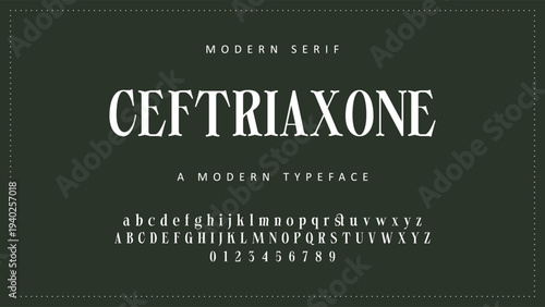 Elegant ligature alphabet letters font logo. Typography luxury classic lettering serif fonts decorative wedding vintage retro logos, design for fashion shop and brand vector illustration