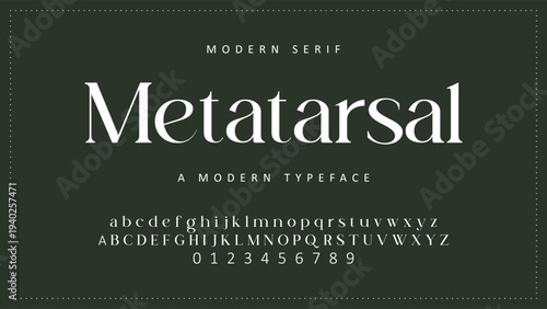 Elegant ligature alphabet letters font logo. Typography luxury classic lettering serif fonts decorative wedding vintage retro logos, design for fashion shop and brand vector illustration