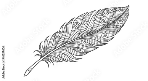 A beautiful black and white feather illustration with intricate details.