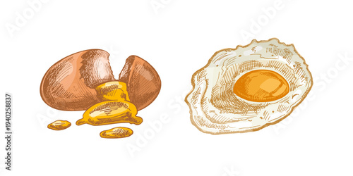 Hand drawn vintage egg set cracked egg with yolk and fried egg engraving style food illustration