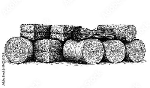 Round hay bale and straw stack vintage farm sketch vector illustration