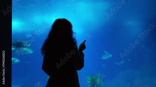 Silhouette Of A Woman Watching Manta Rays And Fish In A Deep Blue Aquarium Tank