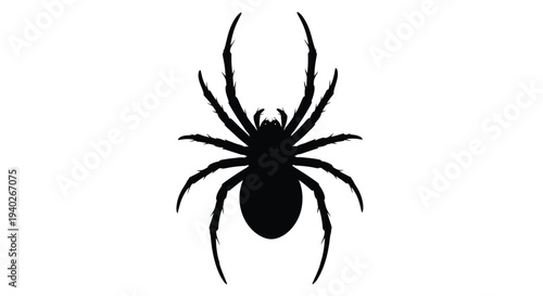 A striking black spider form is displayed as a stark silhouette