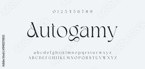 Abstract Fashion font alphabet. Minimal modern urban fonts for logo, brand etc. Typography typeface uppercase lowercase and number. vector illustration