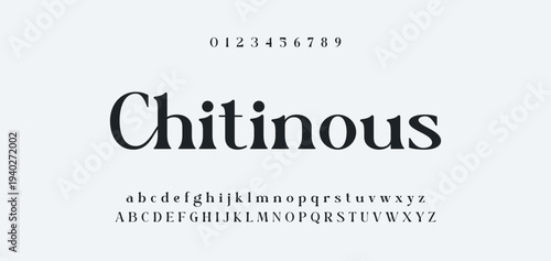 Abstract Fashion font alphabet. Minimal modern urban fonts for logo, brand etc. Typography typeface uppercase lowercase and number. vector illustration