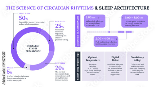 Circadian rhythms and sleep architecture science infographic. Data template Fighting Insomnia, text and Pie Chart. Horizontal vector illustration. Melatonin cycle and expert hygiene tips on White.