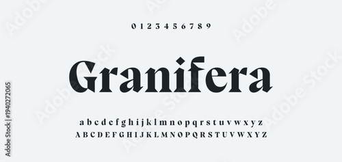 Abstract Fashion font alphabet. Minimal modern urban fonts for logo, brand etc. Typography typeface uppercase lowercase and number. vector illustration