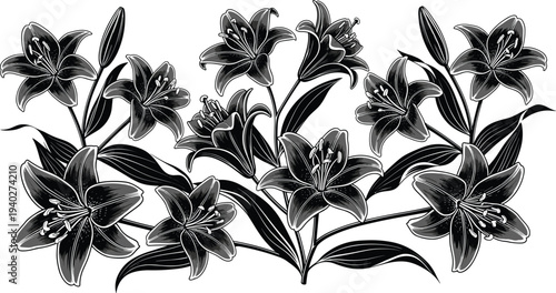 black and white lily flowers botanical illustration, vintage engraving style floral bouquet elegant nature plant design isolated background detailed decorativeWeb