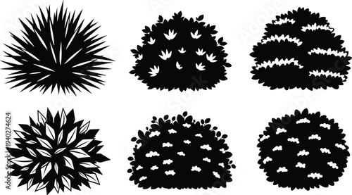 Bush and shrub silhouettes set, decorative garden plants collection with leaves and foliage for landscape design illustration