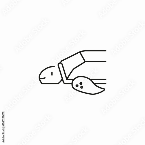 sea turtle swimming flippers icon sign vector