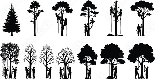 Black Silhouette Illustration of Professional Arborists and Tree Care Workers Pruning Trimming and Climbing Various Forest Trees with Ropes and Equipment