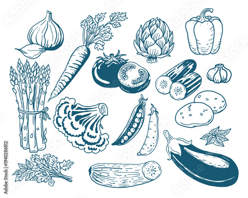 Hand drawn vintage mediterranean blue vegetables set. Dolce vita style food illustration perfect for cafe or restaurant menus design.