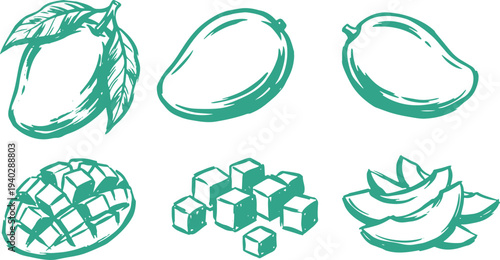 Draw Mango Fruit Set Tropical Mango Slices Cubes and Whole Fruit Vector Illustration Collection.
