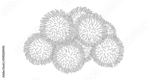 A group of spherical objects with spiky surfaces clustered together in a tight formation.