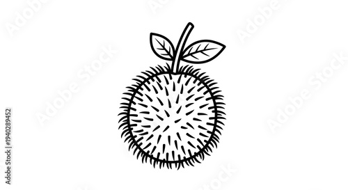A simple black and white illustration of a spiky fruit with leaves.