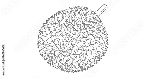 A detailed black and white illustration of a durian fruit with a stem attached.