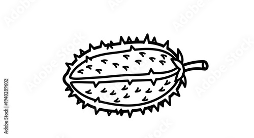 A simple black and white line drawing of a spiky fruit cut open to reveal its seeds.
