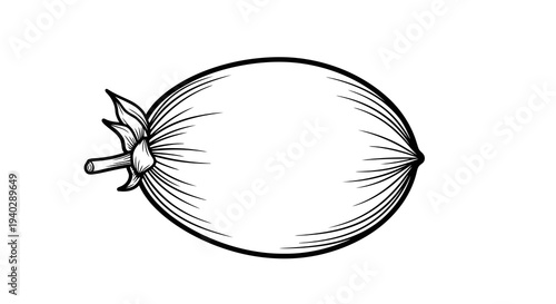 A simple black and white drawing of an onion with its roots and leaves.
