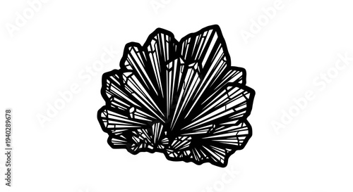 A simple black and white drawing of a flower or plant with radiating petals.